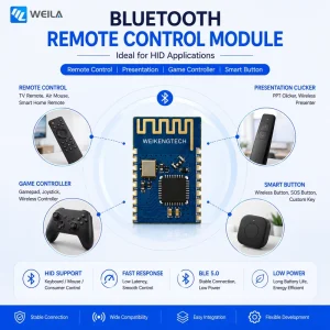 Home BLE 5.0 Wireless Networking Module for IoT Devices