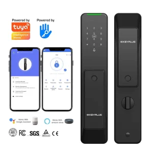 Home Full-automatic Without Handle Push Pull Card Password Login in Multi-point Digital Smart Lock Door Fingerprint