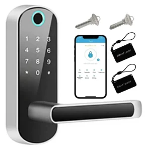 Home Security WIFI Smart Lock Electric Fingerprint Password Cerradura De Puerta Inteligente for Wood Steel Door