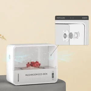 Home Use Low Price Mushroom Growing Container Mushroom Greenhouse Kit