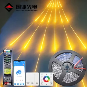 Hot Offer 10W 2835 120led BT bluetooth App Wireless Control System Smart Running Water Led Lights Strip Kit