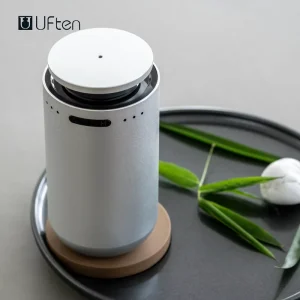 Hot Selling Aroma Therapy Diffuser 2000mAh Battery Nano Mist Essential Oil Diffuser Charge While Use Car Diffuser