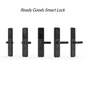 Hot Selling Black Iron with Aluminium Smart Lock Door Wooden Door