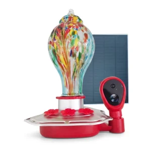 Hummingbird Feeder AI Recognition 10000 Species HD Camera Automatic Squirrel Deterrent Eco Friendly Glass Solar Battery Powered