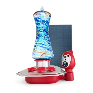 Hummingbird Water Feeder Automatic Oval Glass AI Recognition 10000 Species 2K HD Camera Smart Solar Powered Outdoor