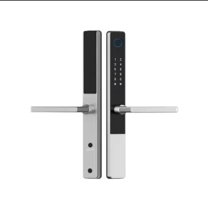 IP65 Waterproof BLE WiFi Wireless Digital Smart Outdoor Lock Silver for Aluminum Stainless Steel Door Cloud