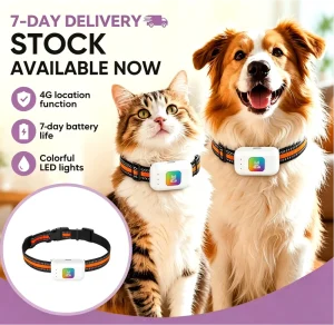 IP67 Waterproof GPS Pet Tracker Smart Dog Cat Tracking Device GSM LBS AGPS Electronic Fence Navigation Fast Delivery