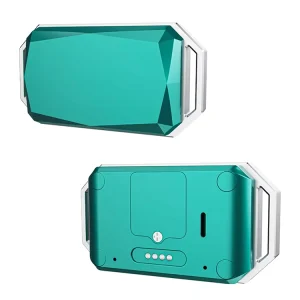 IP67 Waterproof Pets 4G GPS Tracker WiFi Fitness Smart Collar Health Monitoring Dog Tracking Locator Cat Large Size Animals