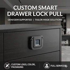 Integrated Fingerprint Drawer Lock with Pull Handle Smart Keyless Cabinet Lock for Office Desk Biometric Furniture Lock Type-C