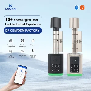 Intelligent Digital Cylinder Password Card European Style Cylinder Smart Lock