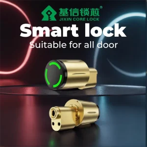 Intelligent Electronic Door Cylinder Lock Ttlock Tuya App Remote Control Memory RFID NFC IC Card Unlock IP67 for Wood Door