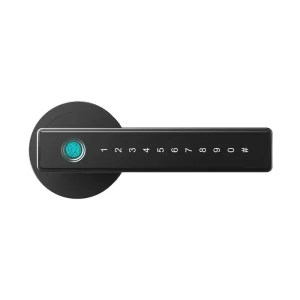 Intelligente Fingerprint Digital Smart Lock for Front Door Tuya Ttlock Password Door Lock