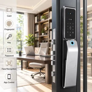 Israel Wi-Fi Security Electric Face Recognition Fingerprint Smart Lock Aluminium Alloy Steel/Brass/Wood Cloud 100