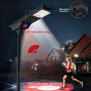 Ledmic 30W Microwave Sensor Solar Street Light All in One Motion Activated Smart Induction Lamp Manufacturer