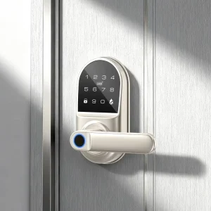 Liantian LB006 Smart Door Lock Tuya WiFi Cloud Storage Fingerprint Password Card App Control Mechanical Key Backup