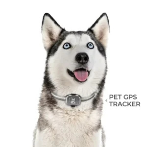Lightweight Pet Smart GPS Tracker Dog Cat Anti Lost Waterproof Locator with Precise Positioning Real Time Location Monitoring