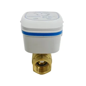 LoRaWAN Smart Valve For Europe North America Municipal Water IoT System Wireless Remote Control Valve IP68