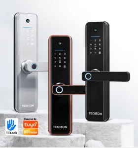 Lock Manufacturers Chapas Inteligentes Wifi Tuya Smart Life App Password Mortise Lock Smart Door Lock With Camera