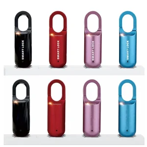 Mini Fingerprint Padlock Biometric Smart Lock for Luggage Backpack Keyless USB Fast Recognition Security Lock for Gym Locker