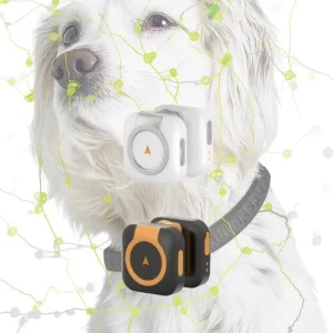 Mini Smart GPS Pet Tracker 4G Real Time Tracking IP67 Waterproof Plastic >20 Hours Battery Life Multi Function Anti Lost Device