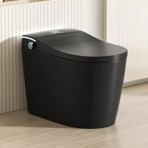 Modern Bathroom Smart Toilet Black Ceramic Automatic Electronic Control Bidet Wc Intelligent Toilet