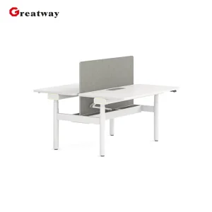 Modern Height Adjustable Desk Electric Standing Desk with Cable Management Ergonomic Office Workstation for Corporate Projects