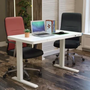 Modern Home & Office Smart Electric Glass Desk Singer Motor Height Adjustable with Drawer USB Wireless Charger Standing Desk