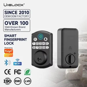 Modern Industrial Aluminum Smart Security Door Lock for Wood Door Buzzer Light Remote Unlocking Tuya App/Wi-Fi Electronic Lock
