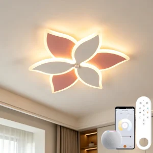 Modern Nordic Style LED Smart Light Surface-mounted Remote-controlled & App Voice Control Tuya Compatible Bedroom Use