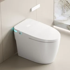 Modern Smart Bidet Toilet Touchless Sanitary Ware Toilette Intelligente Automatic Flush Smart Toilet With Remote Control
