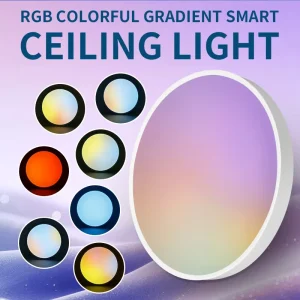 Modern Smart Home Lighting Remote Control RGB Intelligent Led Ceiling Light for Living Room and Bedroom