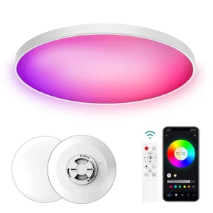 Modern Smart Home Lighting Surplife APP WiFi APP Remote Voice Control 300mm 30W 48W CCT RGB Led Ceiling Lights for Living Room