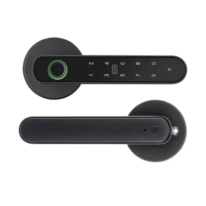 Multiple Unlocking Ways Anti-frozen Mobile Entry Electric Deadbolt Smart Door Lock