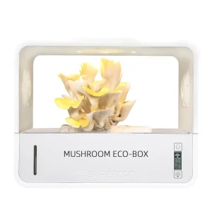 Mushroom Grow Box Indoor Desktop Home Tabletop Mushroom Cultivation Kit Adjustable Fresh Air System For Oyster Mushroom Grow