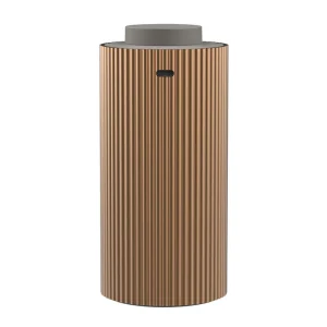 New Cool Mist Aromatic Usb Nebulizer Custom Air Freshener Fragrance Spray Smart Waterless Car Aroma Diffuser