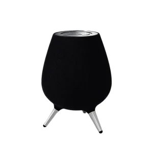 New Model Home Wooden Large Speaker Stereo Private Professional Wireless BT Dj Box Smart Speaker