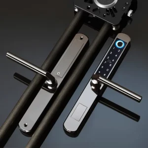 New Smart Door Lock Tuya TTlock Biometric Fingerprint Digital Security Solutions for Modern Home OEM ODM