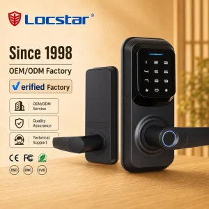 Newly Designed Wifi App Controlled Unlocked Fingerprint Password Digital Rfid Card Key Mini Smart Door Lock