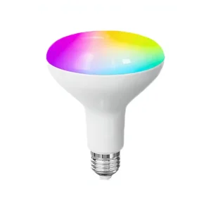 Nishi BR30BR40 Smart LED Bulb RGCW, Voice and App Control, E26 Aluminum Garden Ambient Light Bulb, 120V