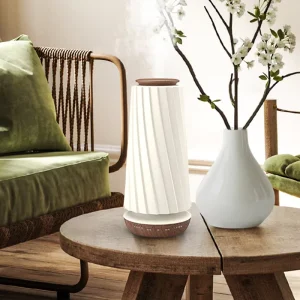 OEM Aroma Diffuser Luxury Scent Air Humidifier Diffuser Gift Set Electric Smart Essential Oil Humidifier with Night Light