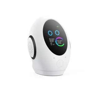 OEM Custom AI Large Model Smart Companion Speaker Robot Wireless WiFi Learning Voice Assistant for Home