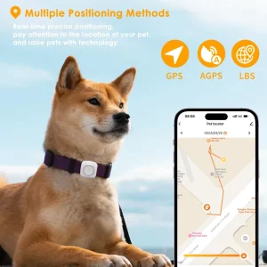 OEM ODM IP67 Waterproof GPS Smart Pet Tracker with 4G WiFi and Long lasting Battery