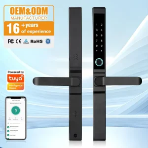 OEM ODM Smart Door Lock Fingerprint Password Waterproof Apartment Digital Keyless Entry Lock