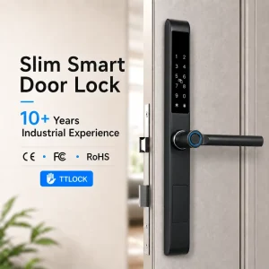 OEM Smart Security Lock Super Slim European Mortise Lock App Control Cloud Storage for Aluminum/Wood/Glass