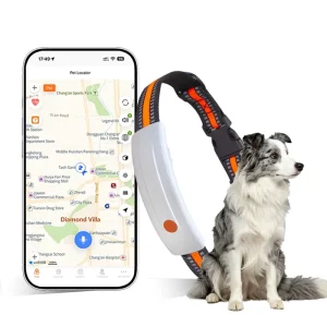 One Way Voice LED Light Pet Training Ringtone Alert Extended Battery Life Lost Dog Search Pet Recovery Dog GPS Collar