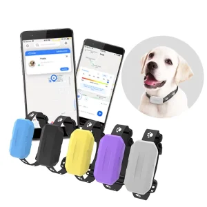 Oumi Smart Puppy Anti Lost GPS Tracking Electronic Collar 4G PC Material OPD01 Model Cat and Dog Pet Tracker