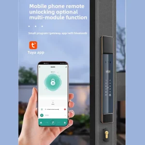 Outdoor Door Smart Lock Double Sided Recognition Biometric Face Palm Print Class C Anti-Theft Camera WiFi Control Aluminum