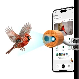 Outdoor Full Color Night Vision AI Bird Identification Smart Bird Feeder 4K Camera IP66 Waterproof Solar/Rechargeable