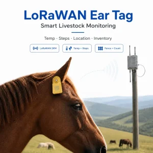Outdoor No Signal LoRaWAN Smart Livestock Ear Tag Waterproof Body Temp Step Tracker for Dairy Farm Disease Early Warning System