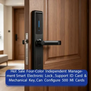 Outdoor Smart Lock ID Broken Bridge Security HR Lock Independent Permission Setting for Family Entry Door
